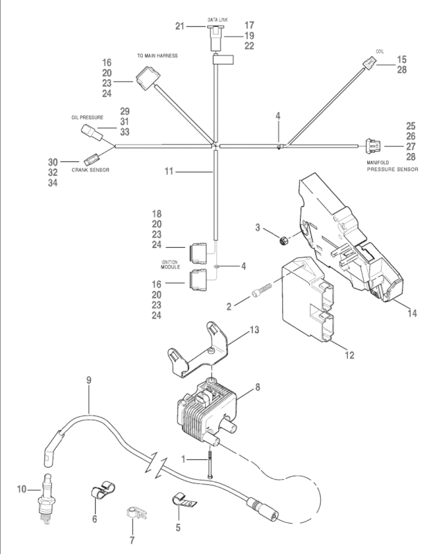 02-04 Road King wiring harness help please - Harley Davidson Forums